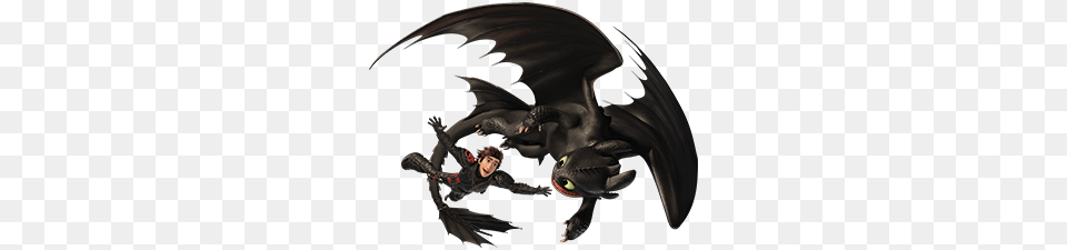 Night Fury, Dragon, Person Png