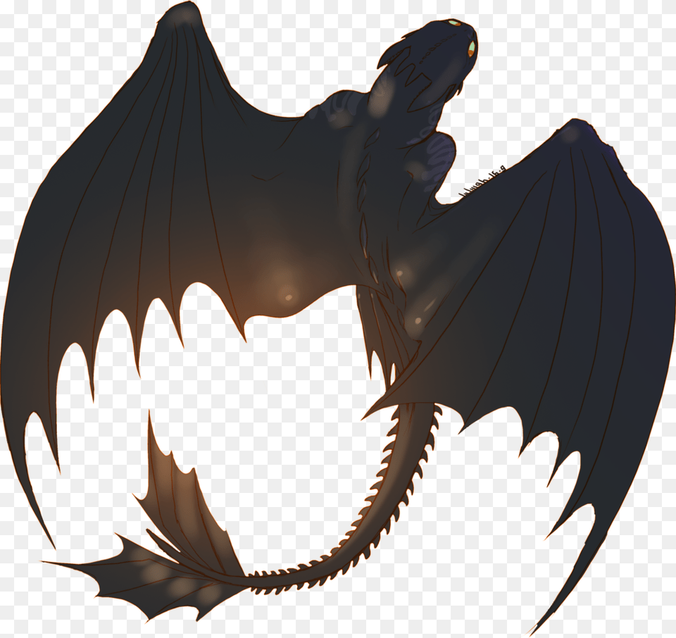 Night Fury, Dragon, Person Free Transparent Png