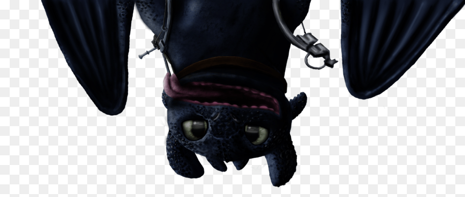 Night Fury, Animal, Horse, Mammal Png