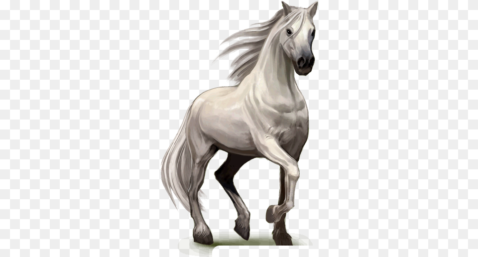 Night Happy Halloween With Horses, Animal, Horse, Mammal, Stallion Png