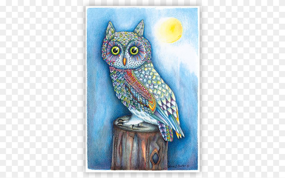 Night Owl By Nora Butler Designs Cartoon, Animal, Art, Bird, Plant Free Png Download