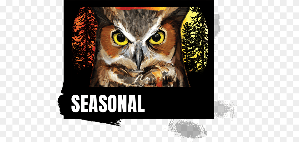 Night Owl Pumpkin Ale, Animal, Beak, Bird Free Png