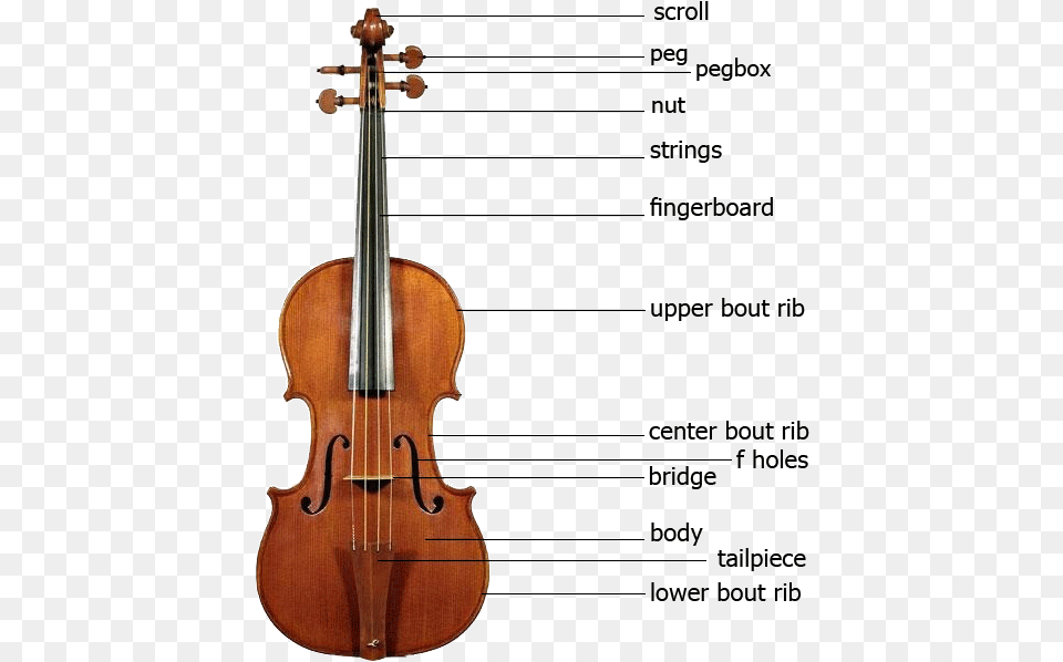 Night Study Questions Chapter 6 Answers, Musical Instrument, Violin, Cello Free Transparent Png