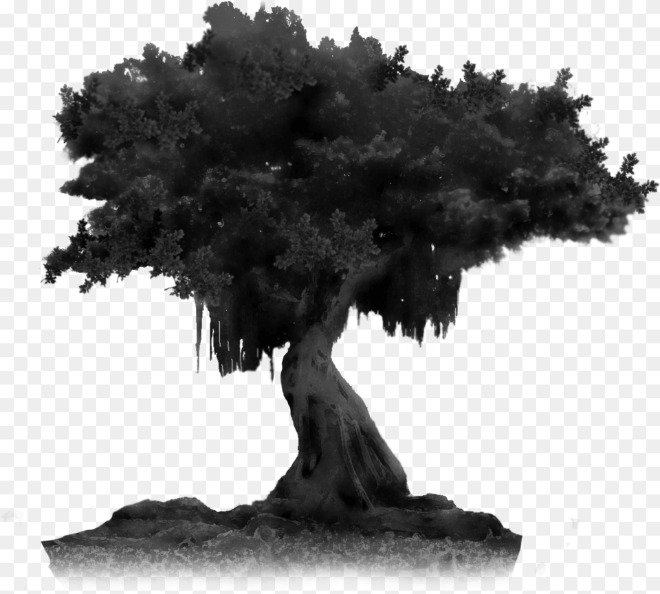 Night Tree Hd Night Tree Transparent, Plant, Potted Plant, Bonsai, Outdoors Png