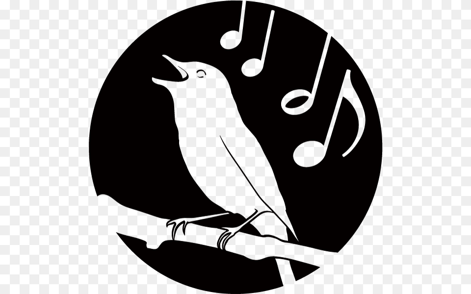 Nightingale Oboe Reeds 0 Nightingale Oboe Reeds, Animal, Bird, Blackbird Png