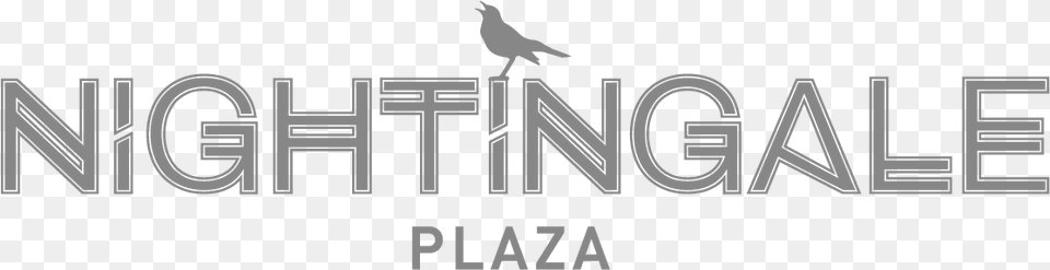 Nightingale Plaza Named Best Nightclub By Boutique Nightingale Plaza Logo, Animal, Bird, Text Free Png
