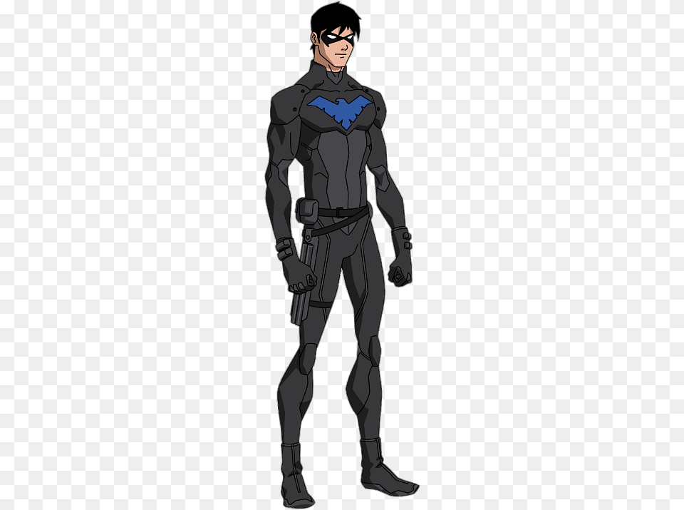 Nightwing Hero, Adult, Male, Man, Person Png Image