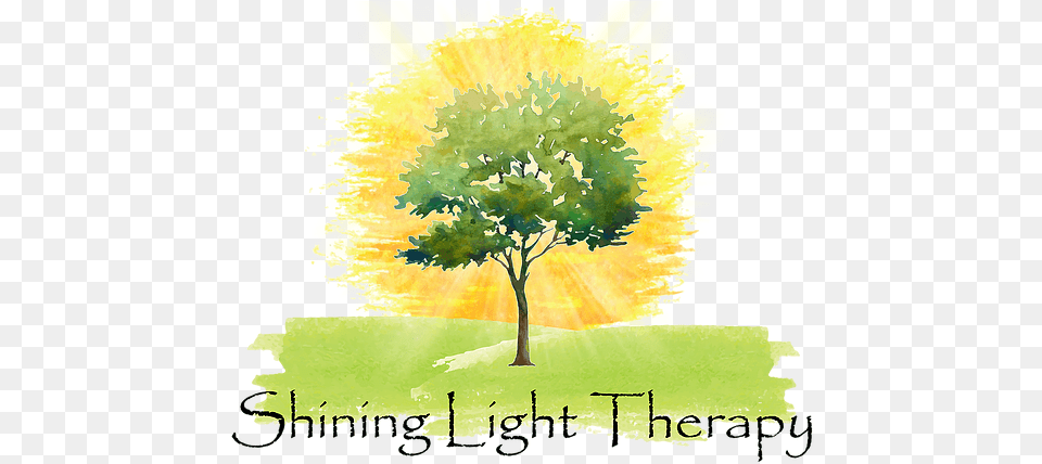 Nikki Pritchett Lmft Pleasanton Ca Shining Light Therapy Tree, Plant, Grass, Vegetation, Oak Free Png