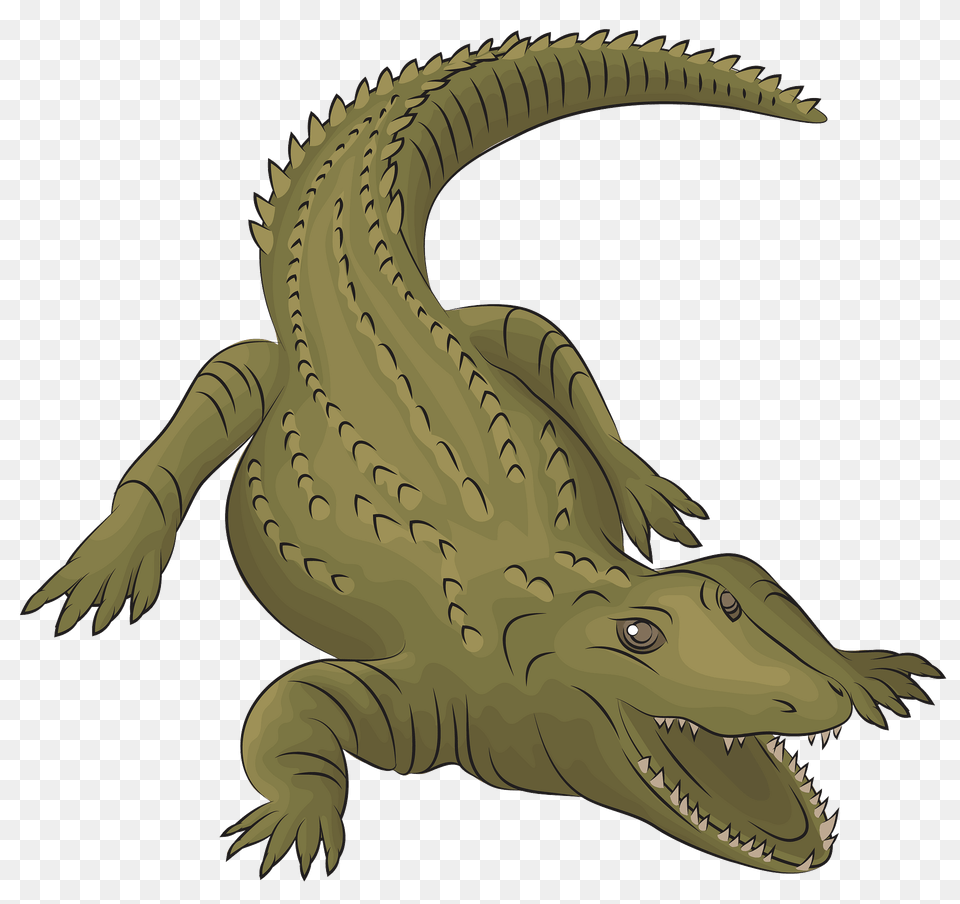 Nile Crocodile Clipart, Animal, Reptile, Fish, Sea Life Png