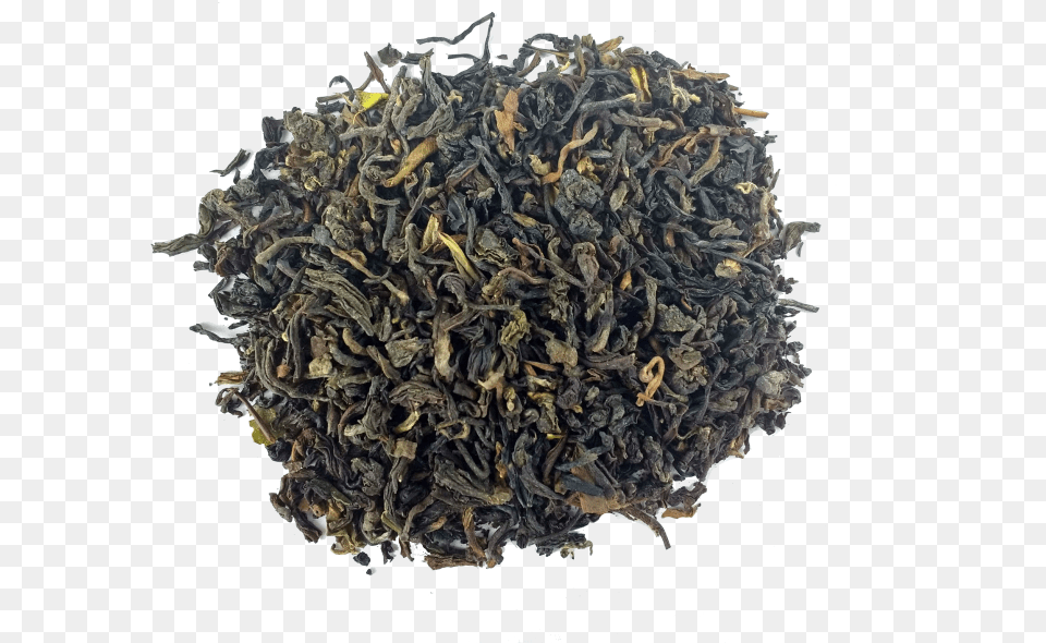 Nilgiri Tea Hd Dianhong Tea, Plant, Beverage, Green Tea Free Png Download