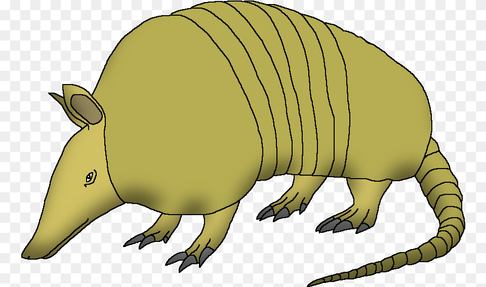 Nine Big, Animal, Mammal, Wildlife, Armadillo Free Png Download