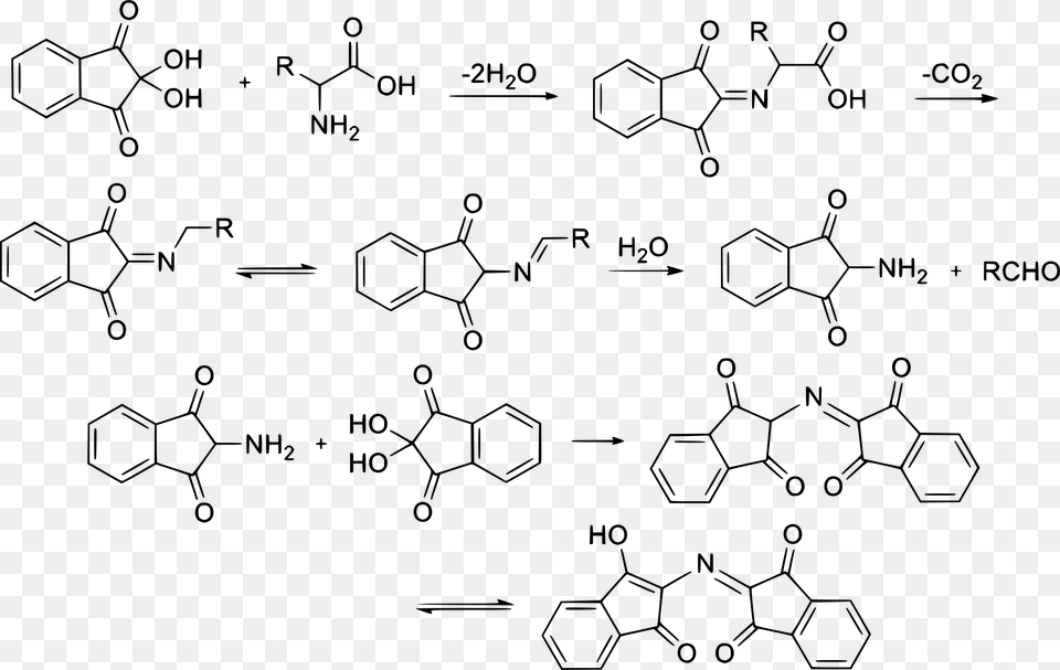 Ninhydrin Reaction Mechanism Clip Arts Reaccion De La Ninhidrina, Gray Free Transparent Png