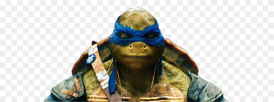 Ninja Turtles, Accessories, Costume, Clothing, Person Png Image