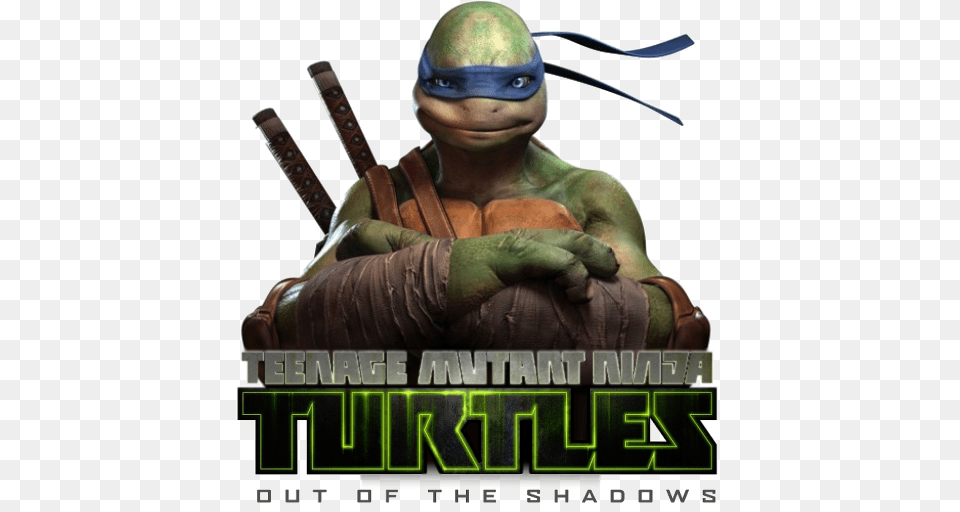 Ninja Turtles, Boy, Child, Male, Person Png