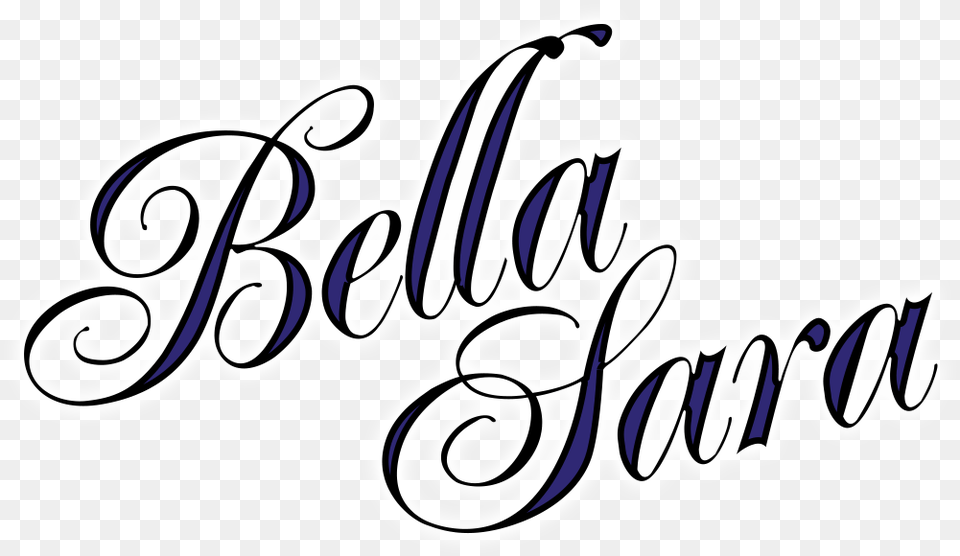 Nintendo Dslogo U2013 Bella Sara Usa Diskmachu0027s Game Art Bella Sara Logo, Text, Baby, Person Png Image