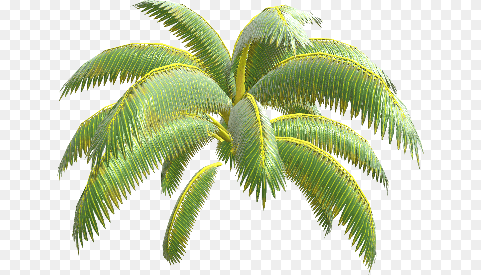 Nintendo Switch Arms Palm Tree Leaves The Models Resource Fresh, Fern, Leaf, Palm Tree, Plant Free Transparent Png