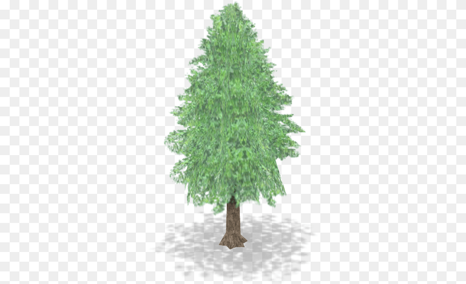 Nintendogs Cats Cedar Tree The Models Resource Christmas Tree, Oak, Plant, Sycamore, Conifer Png Image