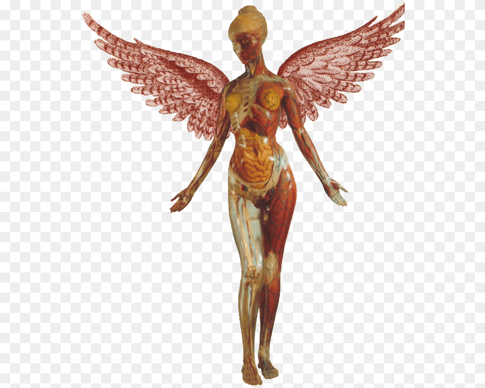 Nirvana In Utero Transparent, Person, Angel, Face, Head Png Image