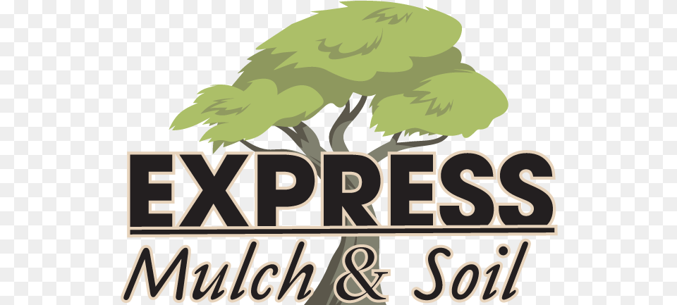 Nissan Express Service Logo, Tree, Plant, Vegetation, Green Free Png