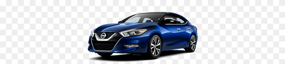 Nissan Maxima Vs Chrysler Florence Sumter And Camden, Car, Sedan, Transportation, Vehicle Png Image