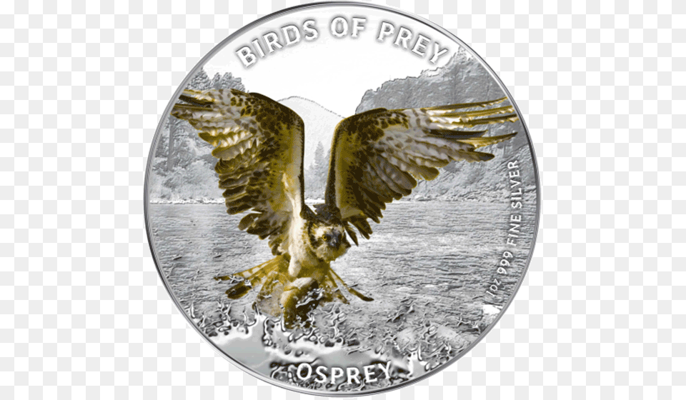 Niue 2013 2 Osprey Birds Of Prey Proof Silver Coin Osprey Hunting, Animal, Bird, Money Png Image