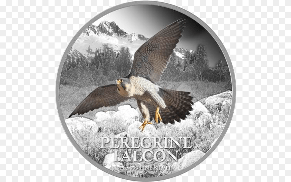 Niue 2013 2 Peregrine Falcon Birds Of Prey Proof Silver Silver, Accipiter, Animal, Bird, Kite Bird Free Transparent Png