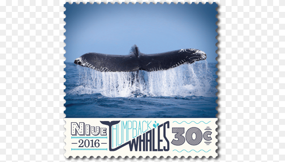Niue 2016 Humpback Whales New Zealand Post Stamps Dolphin, Animal, Mammal, Sea Life, Whale Free Transparent Png