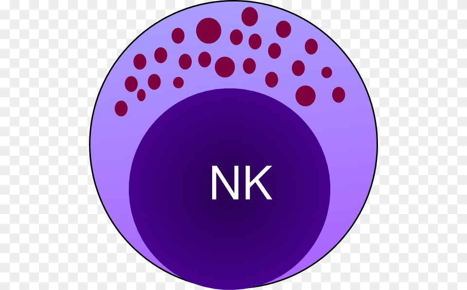 Nk Cell Clip Art, Purple, Sphere Png