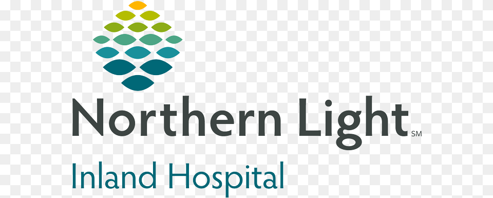 Nl Ih V P Clr Rgb Northern Light Mercy Hospital, Art, Graphics, Logo, Text Png