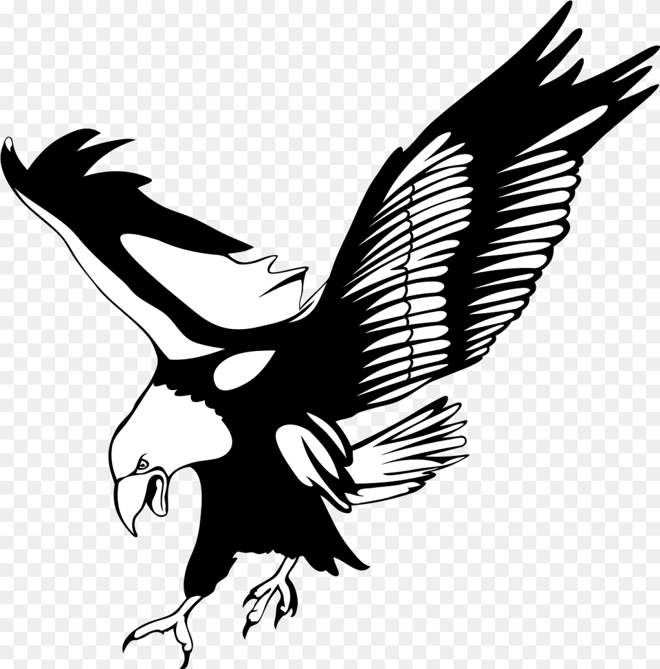 No Background Bird Eagle Eagle Black And White, Stencil, Animal, Vulture, Face Free Png