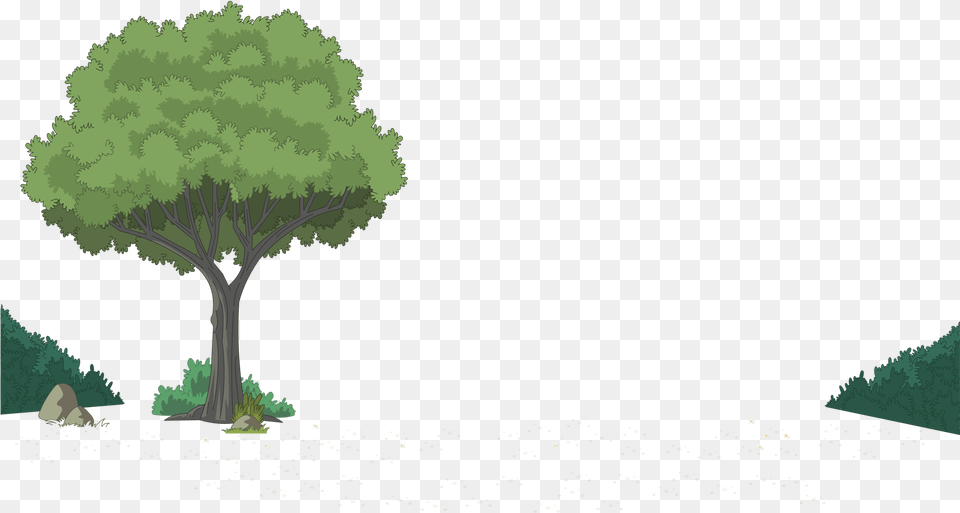 No Backyard Backyard Cartoon Background, Plant, Tree, Vegetation, Tree Trunk Png