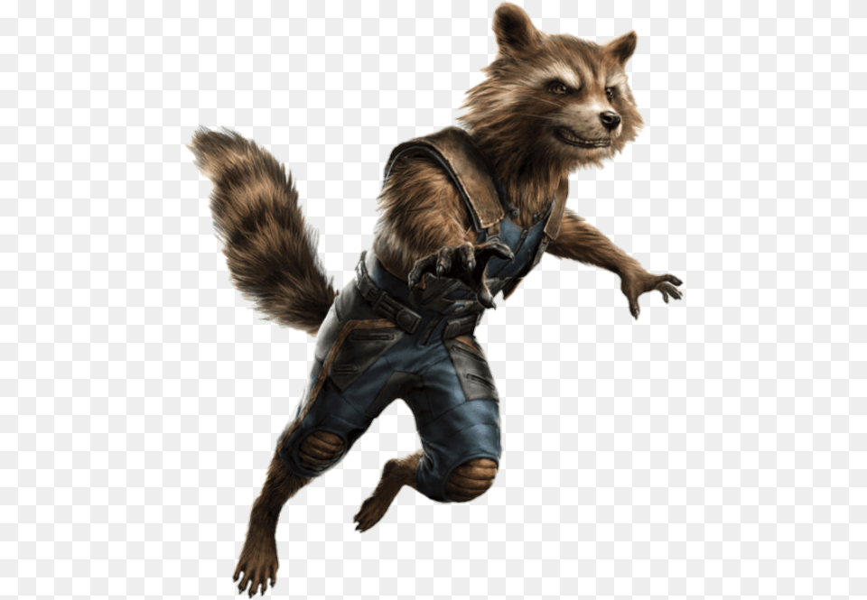 No Caption Provided Rocket Raccoon, Animal, Canine, Dog, Mammal Free Png Download