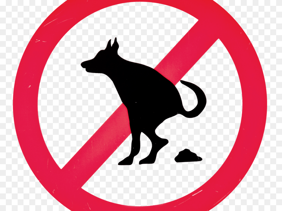 No Dog Poop Sign Image Best Stock Photos, Symbol, Person, Road Sign, Animal Free Transparent Png