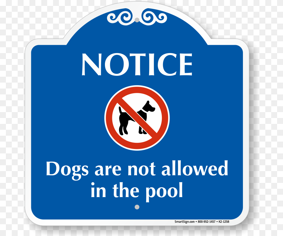 No Dogs Allowed In The Pool, Sign, Symbol, First Aid, Road Sign Png