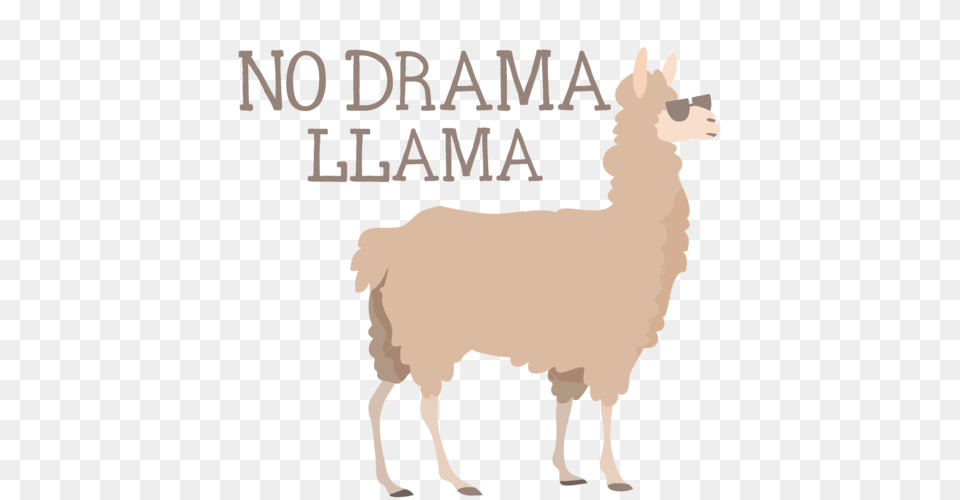 No Drama Llama Clip Art Transparent Stock L Llama, Animal, Mammal, Horse Png Image