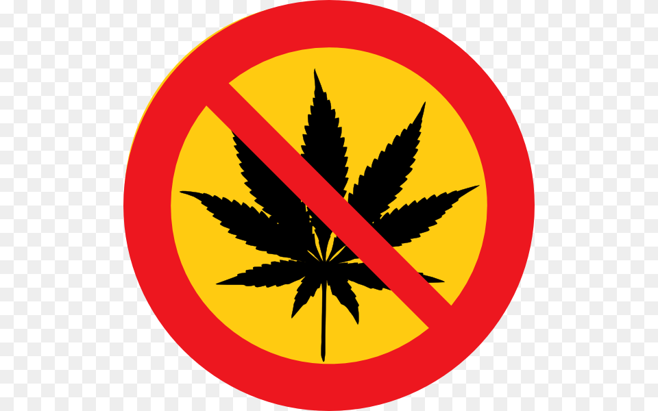 No Drugs, Leaf, Plant, Sign, Symbol Free Png Download