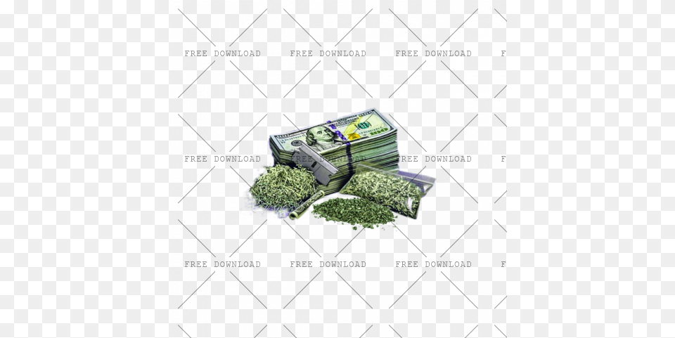 No Drugs Bv Image With Transparent Drugs, Herbal, Herbs, Plant, Person Free Png