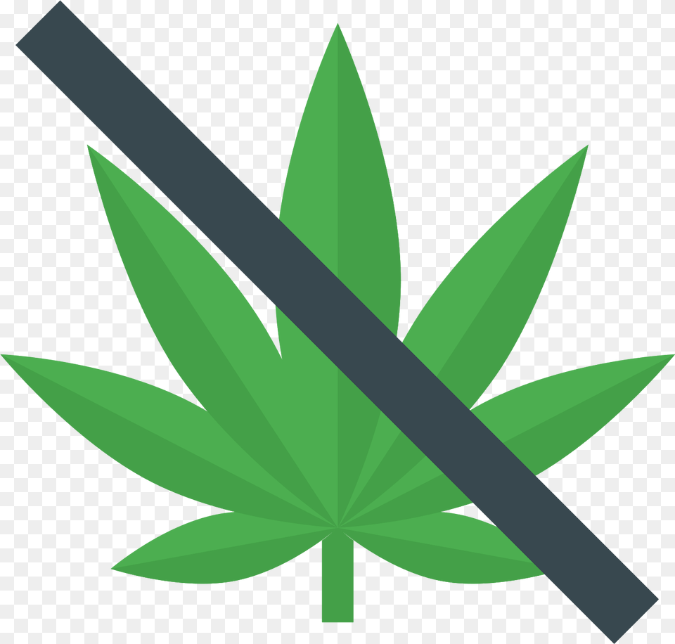 No Drugs Icon Label Background, Leaf, Plant, Animal, Fish Png Image