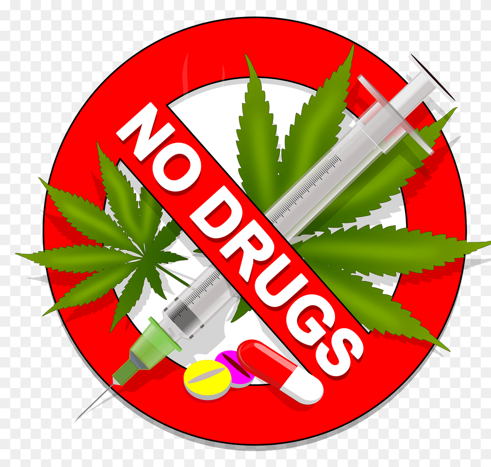 No Drugs Weed Speed Amp Pills Clipart, Herbal, Herbs, Plant, Dynamite Png Image