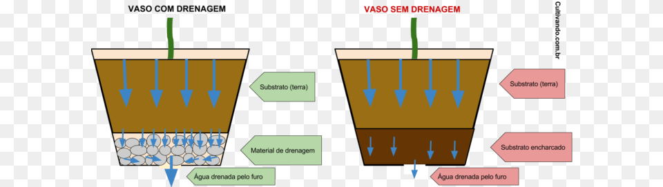 No Entanto A Realidade Que As Pedras Servem Para Plantar Em Vaso Sem Furo, Chart, Plot Free Png Download