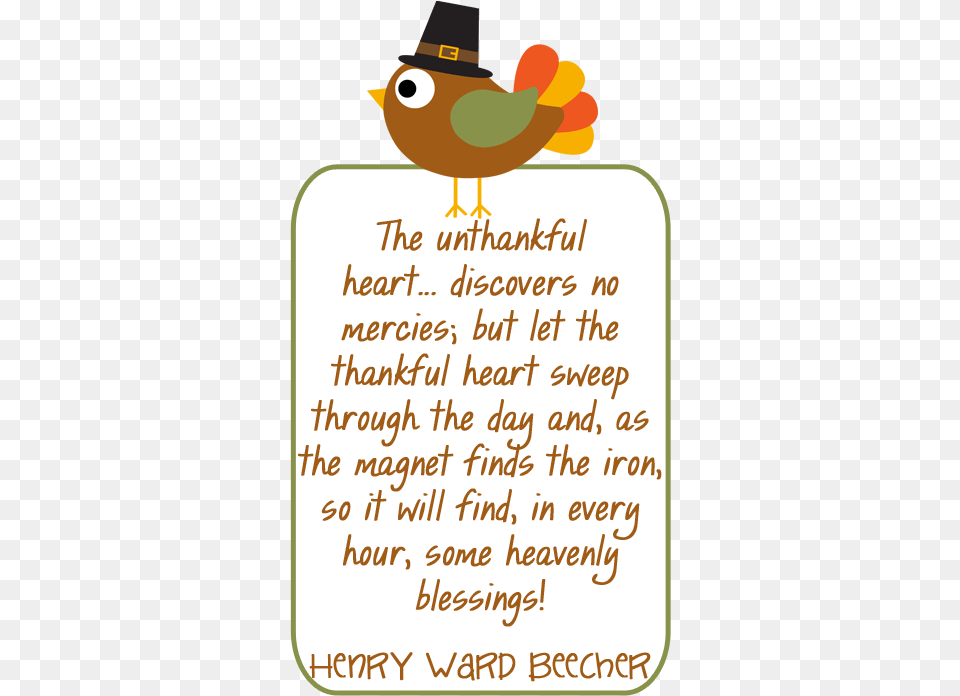 No Family On Thanksgiving Quotes, Text, Animal, Bird, Envelope Png Image