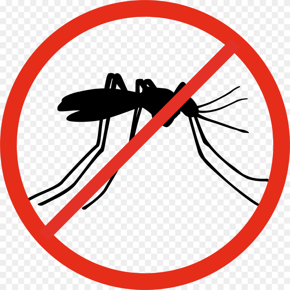 No Feeding Birds Sign Download, Animal, Insect, Invertebrate, Mosquito Free Transparent Png