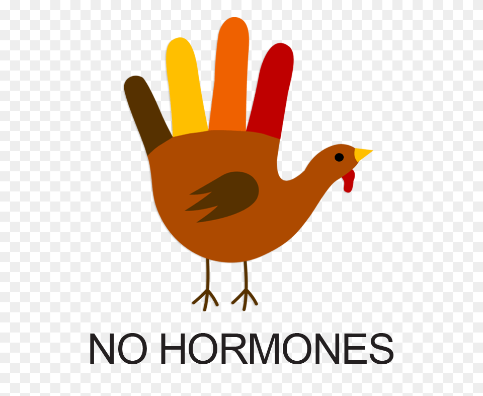 No Hormones Cliparts, Animal, Bird Free Png Download