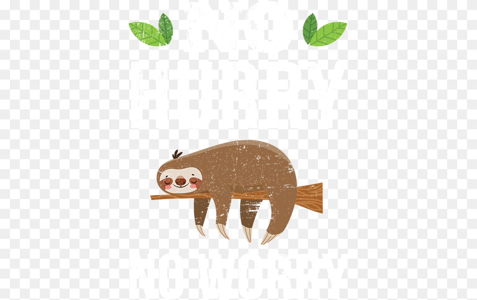 No Hurry Worry Distressed Cute Sloth Design Shower Curtain Sloth Clip Art, Animal, Bear, Mammal, Wildlife Png Image