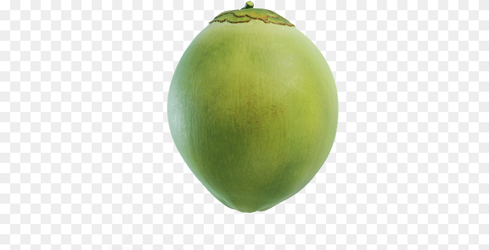 No Light No Air Green Coconut Fruit, Food, Plant, Produce Free Png