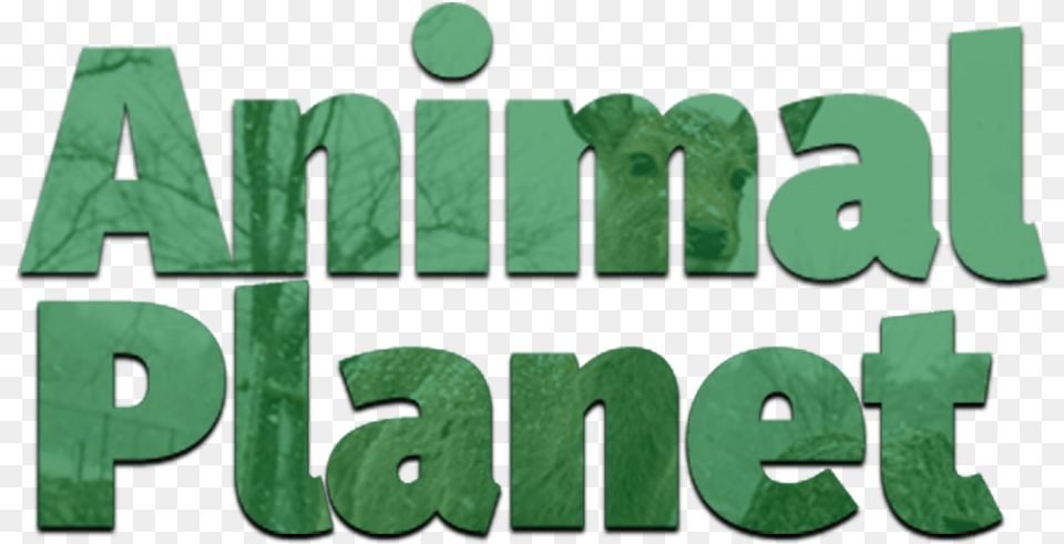 No Longer Dota 2 Animal Planet Logo, Green, Text, Face, Head Free Png Download