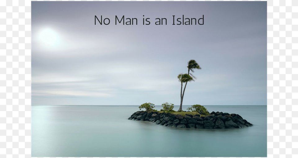 No Man Is An Island Beach Rocks Palm Tree, Coast, Shoreline, Sea, Water Free Png