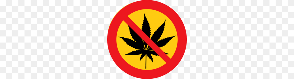 No Marijuana Clipart Cannabis Clip Art Drug Leaf Tree, Plant, Sign, Symbol Png Image