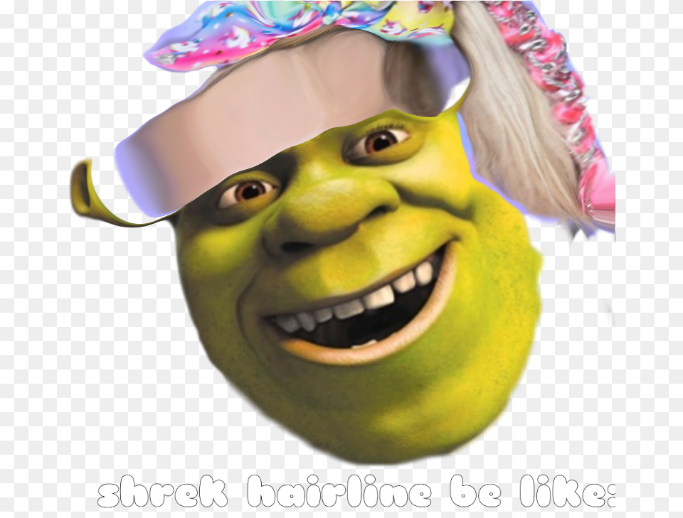 No Offense But I Find Jojo Siwa Annoying And Horrible Shrek Roblox Decal, Clothing, Hat, Baby, Person Png