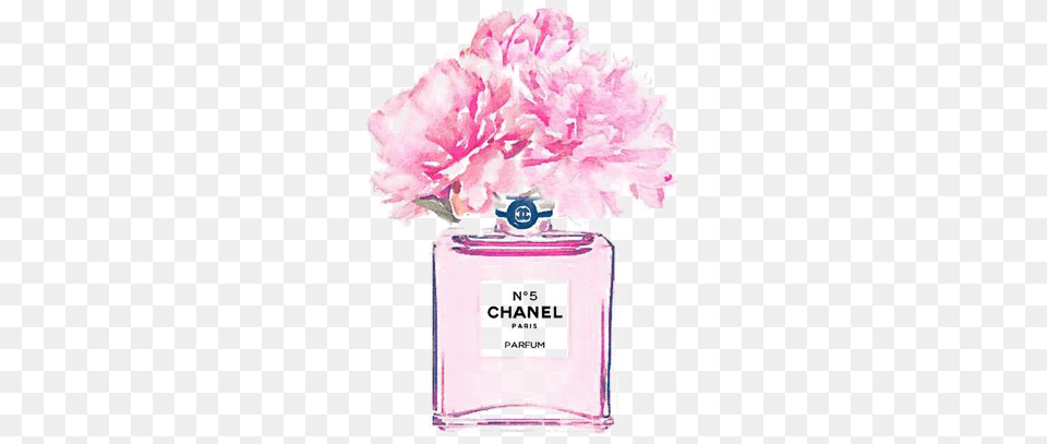 No Perfume Watercolor Coco Painting Chanel Hq Chanel Flower Perfume Bottle, Plant, Carnation, Cosmetics, Qr Code Png Image